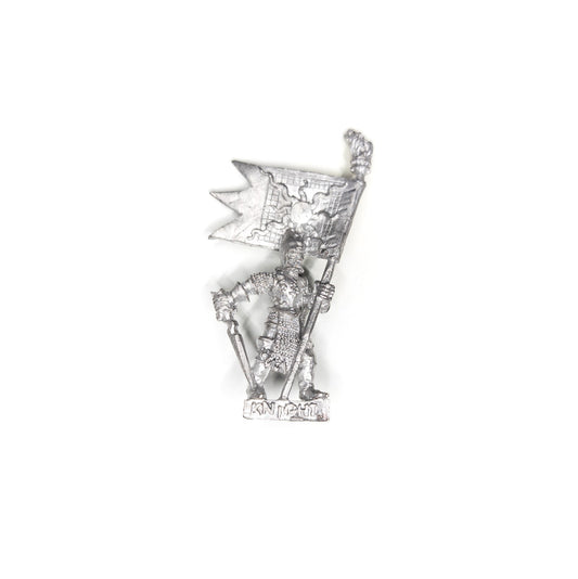 Fighters - RR17 Avenging Knights of the Cleansing Flame, Standard Bearer
