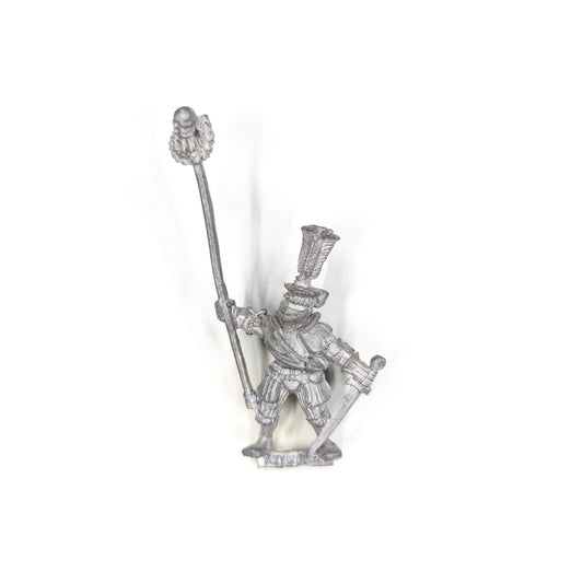 The Empire - Reiksguard Foot Knight Command, Standard Bearer