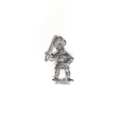 The Empire - Reiksguard Knight on Foot