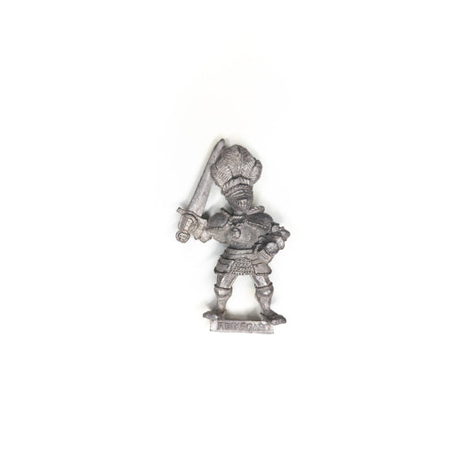 The Empire - Reiksguard Knight on Foot
