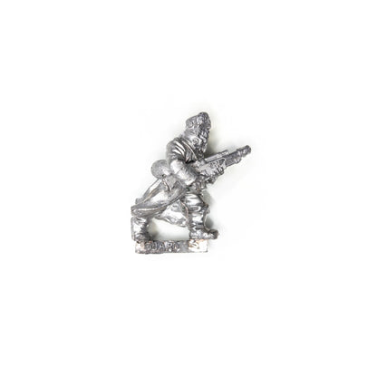 Imperial Guard - Ice Warrior of Valhalla