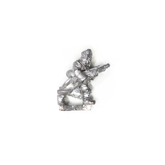 Imperial Guard - Ice Warrior of Valhalla